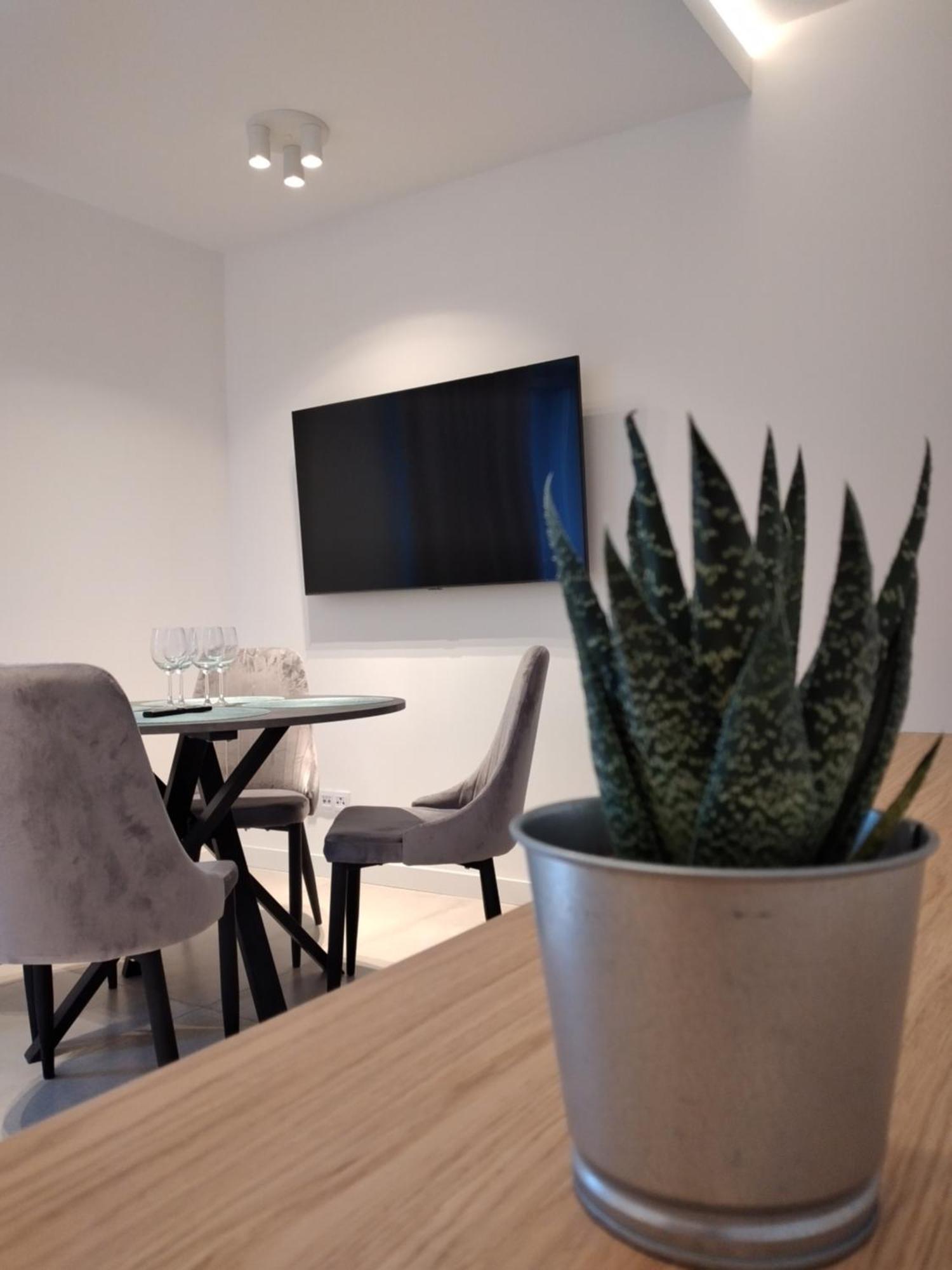 Apartament Zrodlana Ski 300M Swieradow-Zdroj Ngoại thất bức ảnh